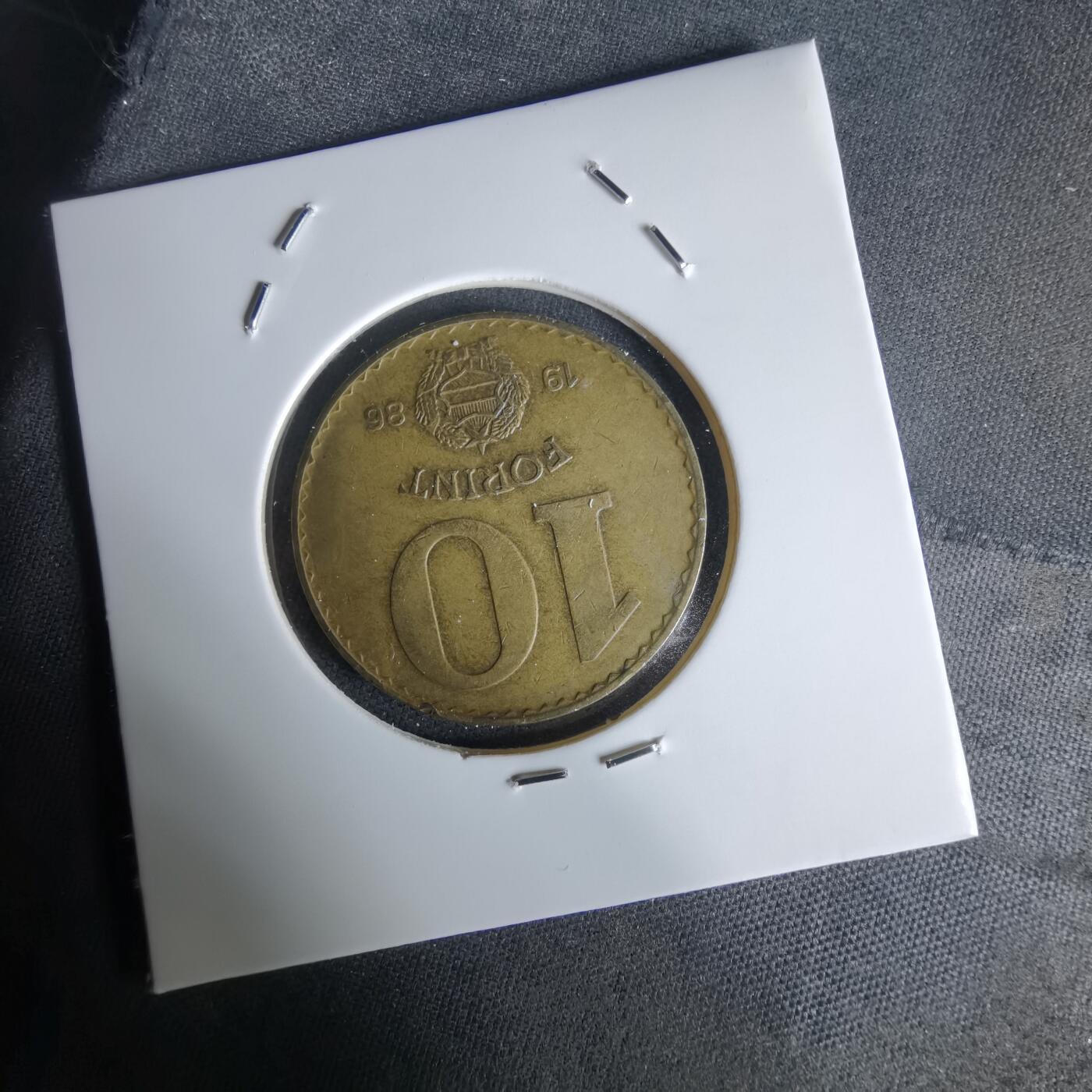 沼泽如烟--第1050场