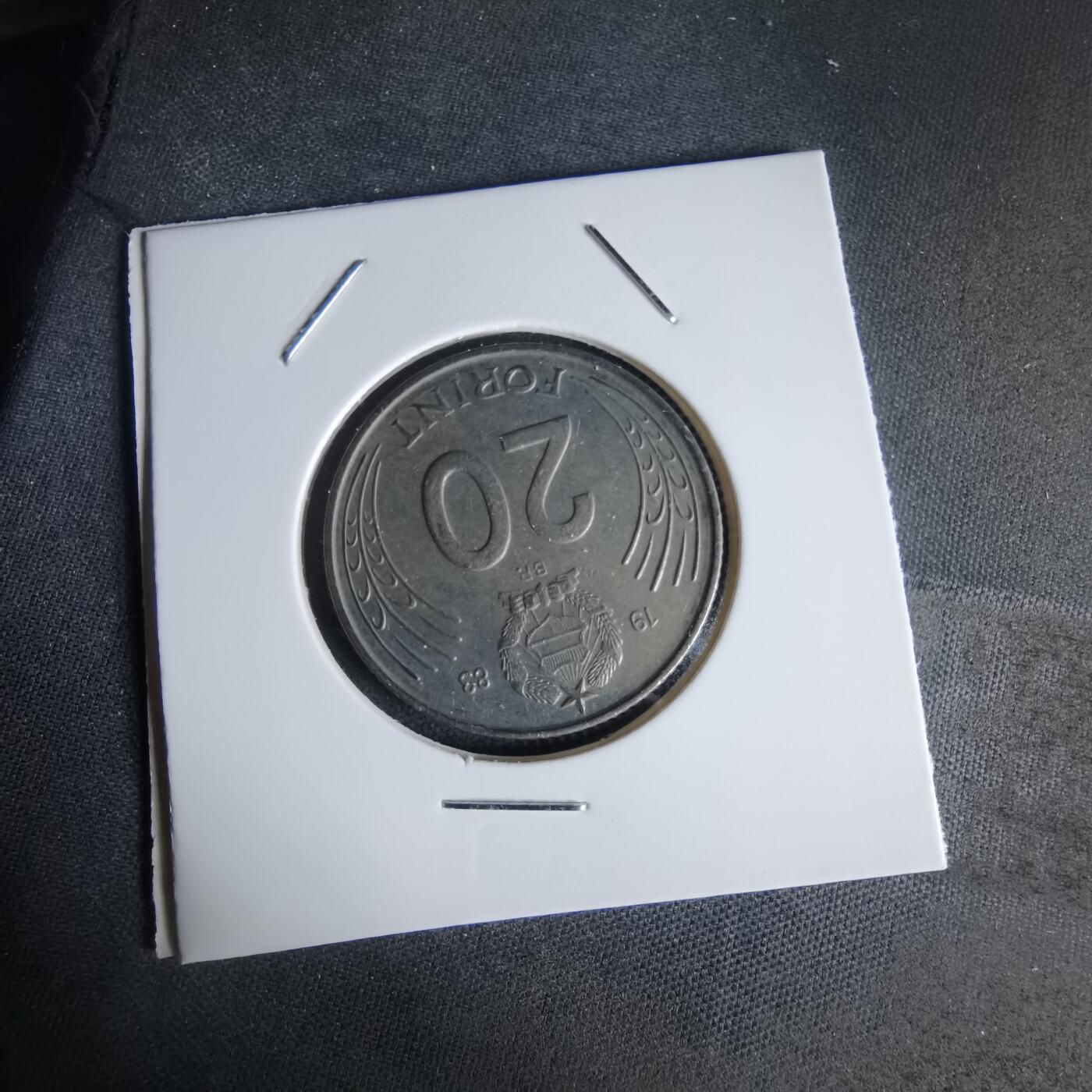 沼泽如烟--第1050场