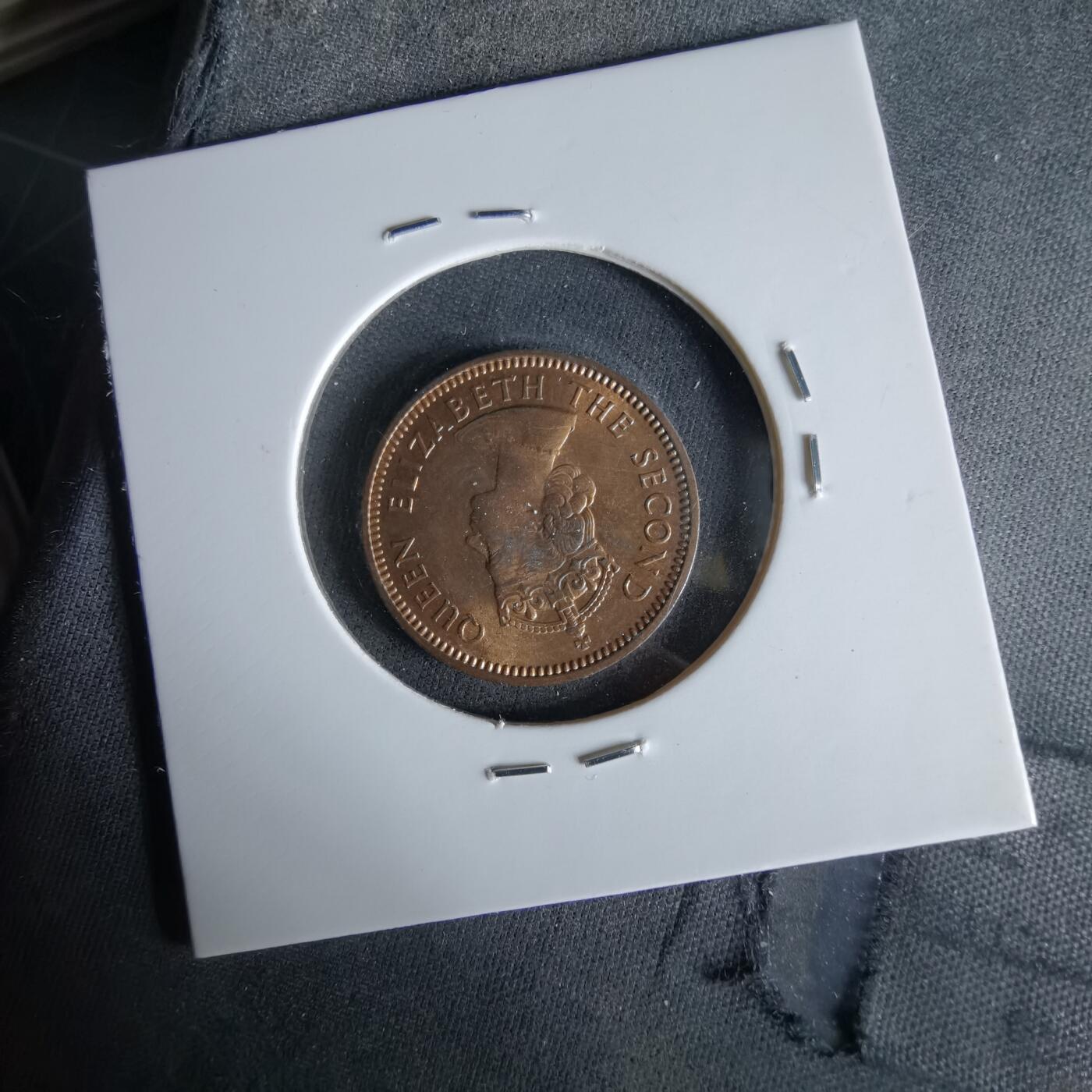 沼泽如烟--第1051场