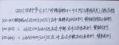 公藏第63期裸卡拍卖 四川田村卡（珍稀动物4-1  4-2    绵阳风光4-4）3枚散卡合拍，品相钢印码见描述。