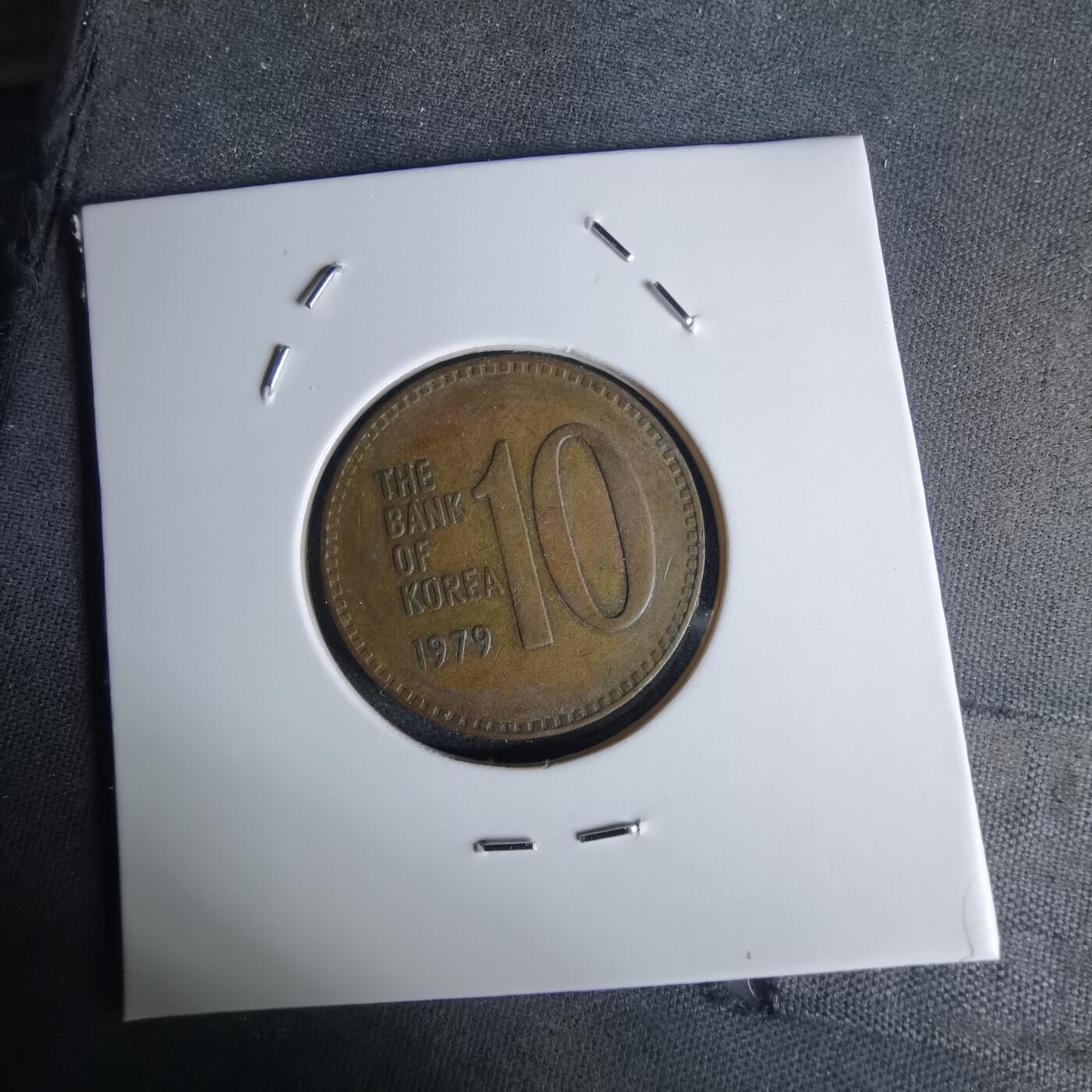 沼泽如烟--第1052场