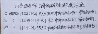 公藏第63期裸卡拍卖 山东田村卡（济南磁卡开通）3全品相钢印码见描述。