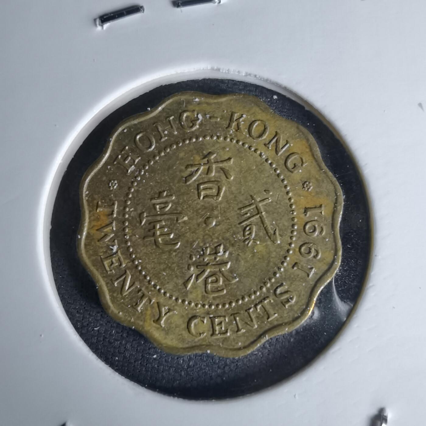 沼泽如烟--第1052场