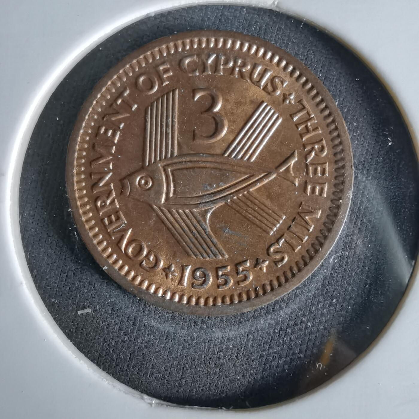 沼泽如烟--第1051场