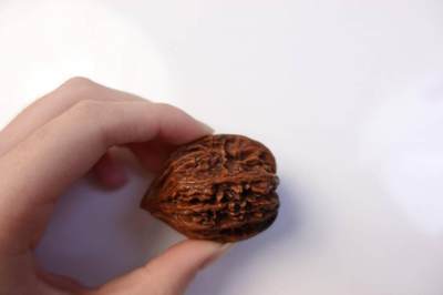 上海都达杂项专场102【全场包邮】  把玩核桃 1个65-336