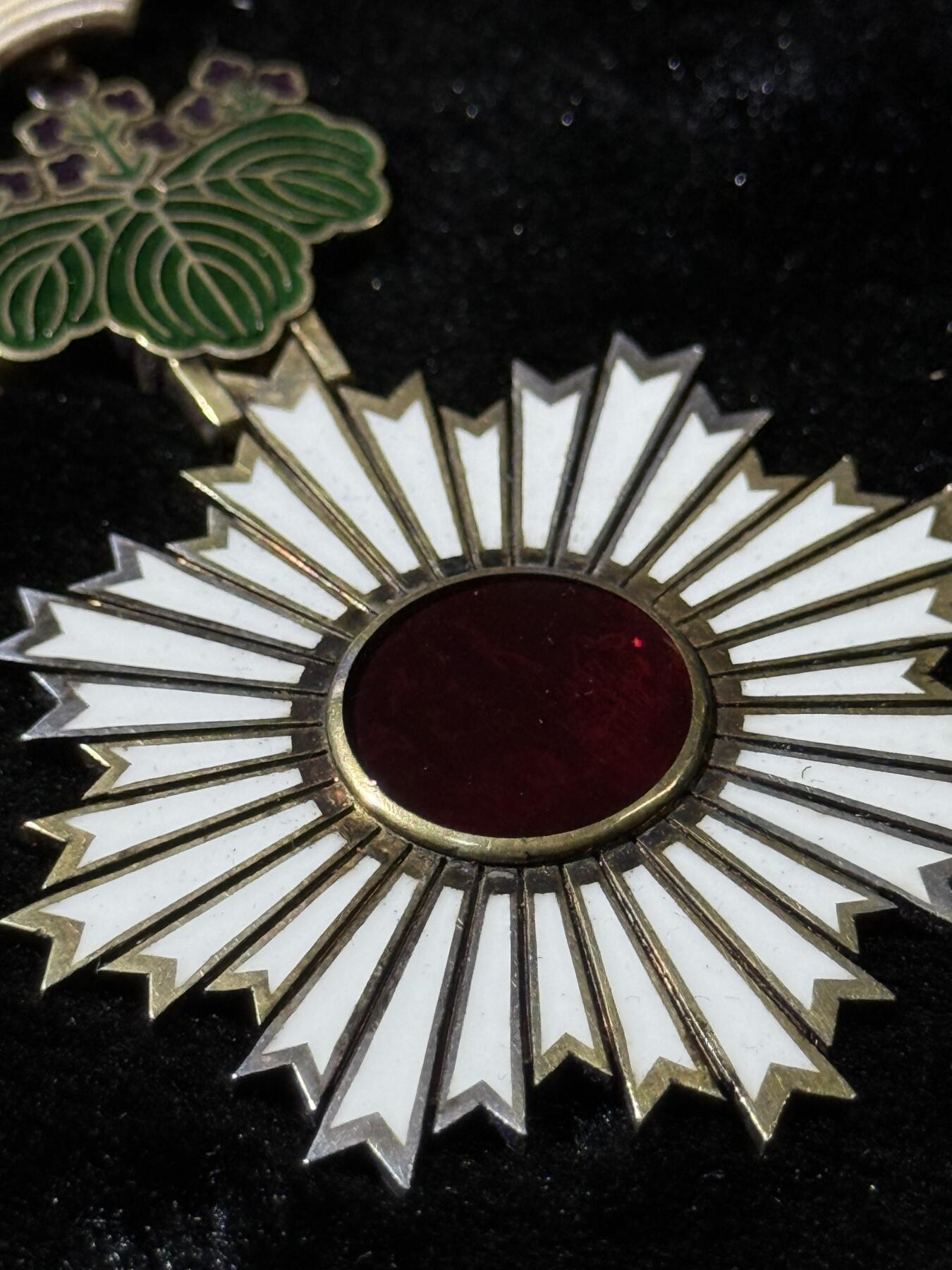 戎马世界章牌大赏第115期