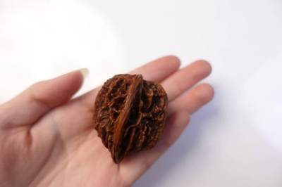 上海都达杂项专场102【全场包邮】  把玩核桃 1个65-336