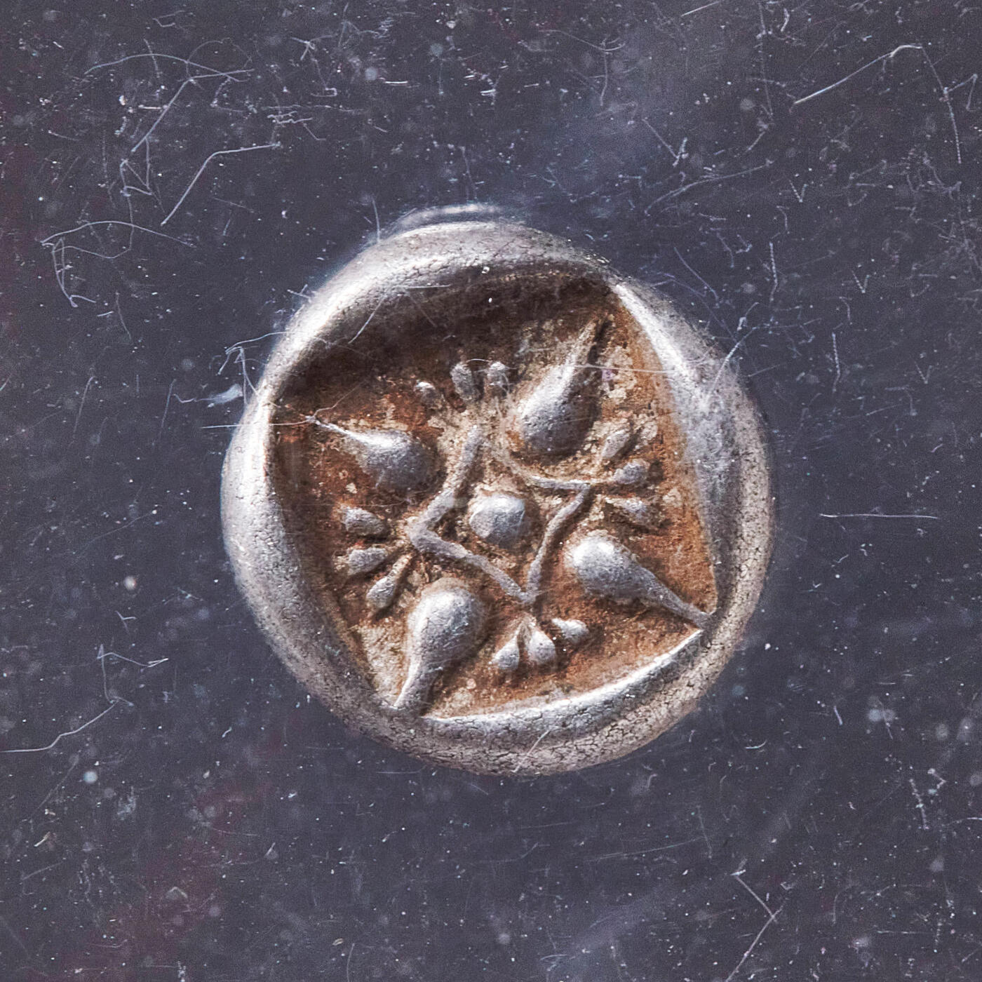 【俄甄集藏】满园春色-2026年(051)04-22星期三 晚 19:30 全场包邮 古希腊爱奥尼亚米利都城邦约公元前6世纪晚期-前5世纪早期狮子头1奥波银币，NGC VF，正面张口咆哮的向左的狮子头，背面戳记中有大芒星图案，原味状态，经典品种