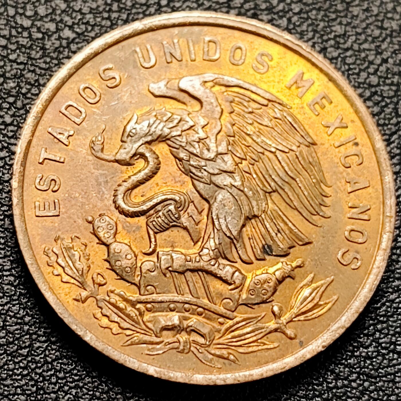 泉币菌-第224场-拍品多 请提前出价(222场前满邮的已全部发出，陆续更新单号中，请耐心等待) 。