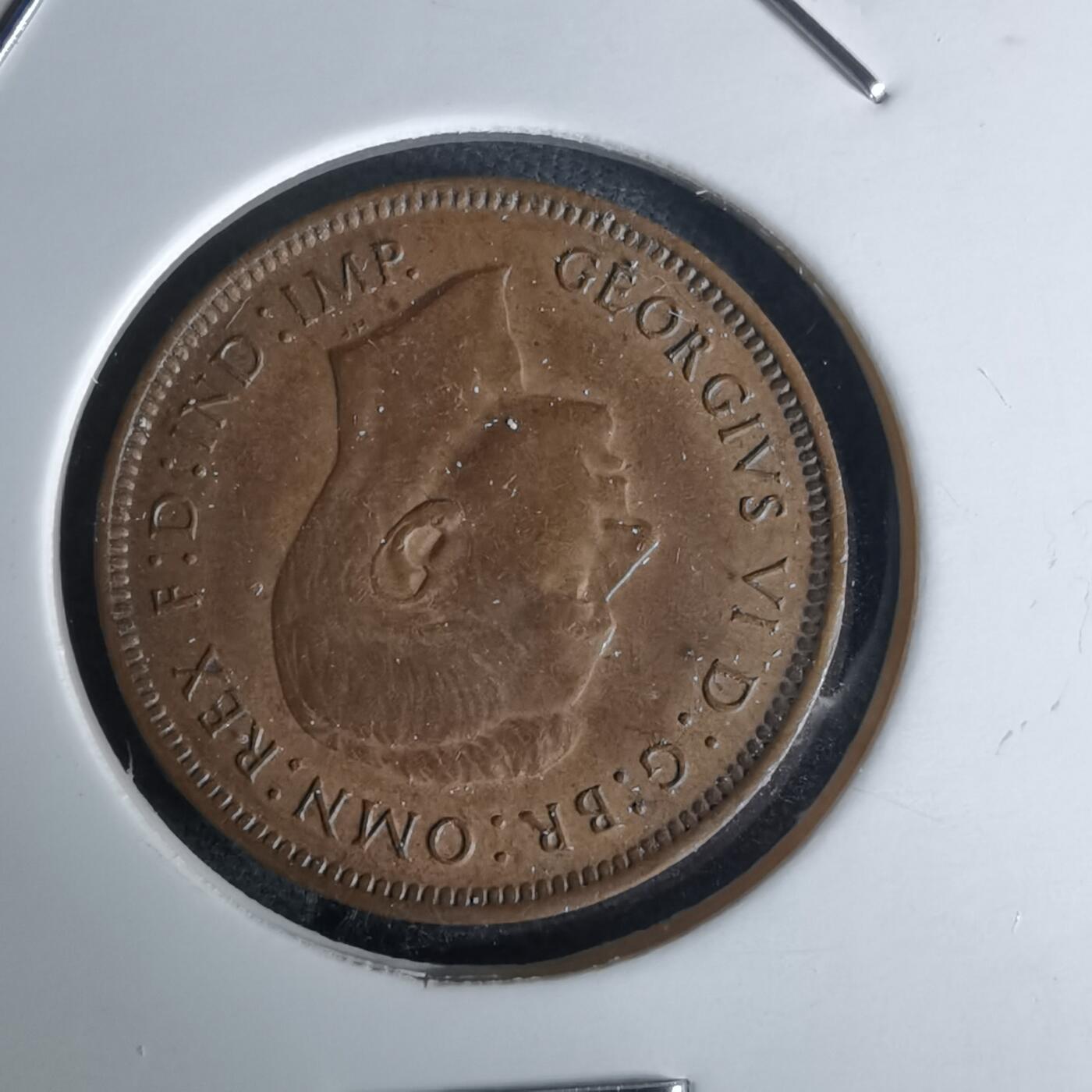 沼泽如烟--第1052场