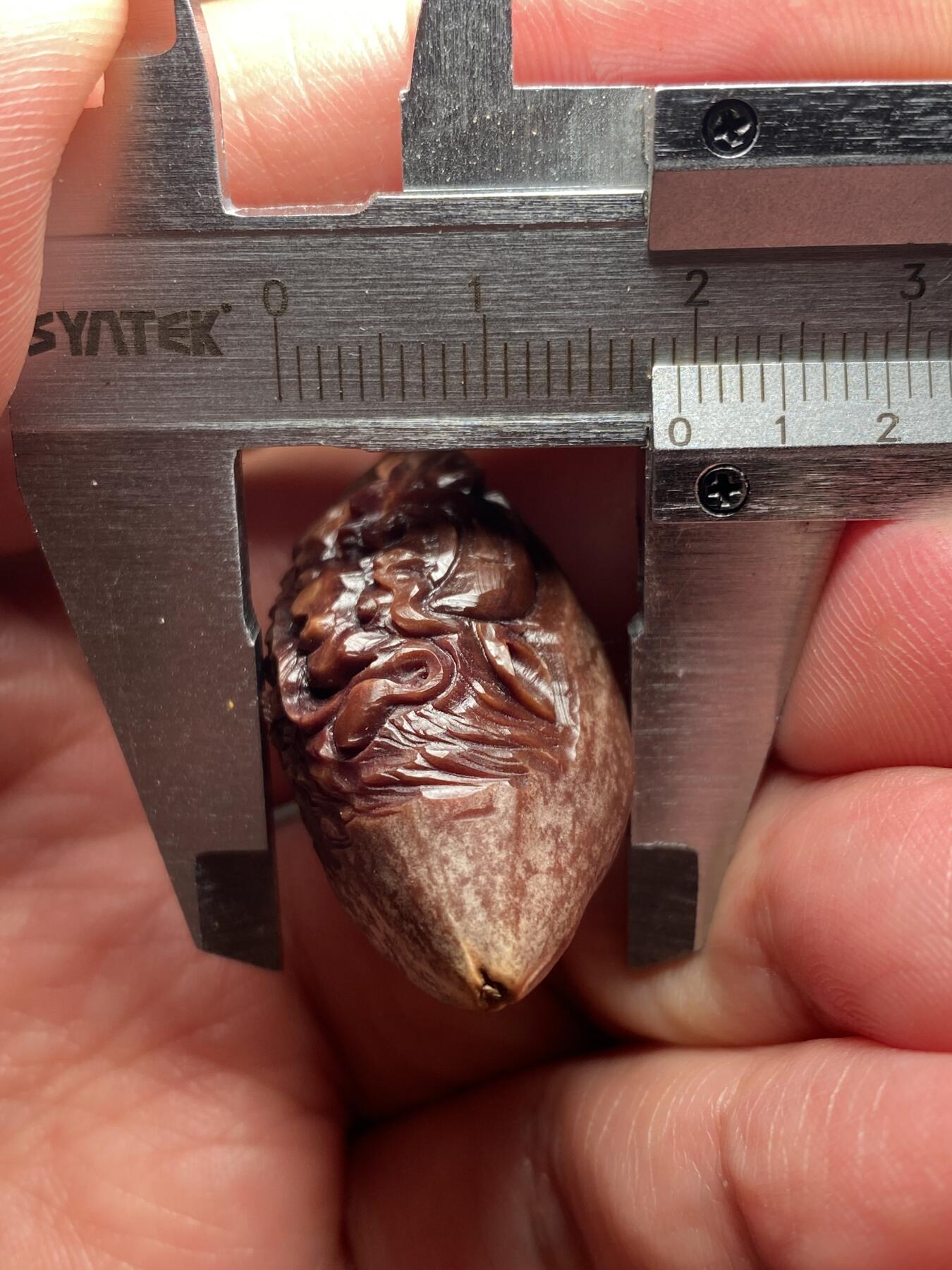 捡漏苏州非物质文化遗产，核雕艺术老苏工 福利苏工核雕纯手工老手艺横版紫核钟馗，雕工深峻，个性十足，等待有缘人，尺寸1。9x4.0喜欢的来