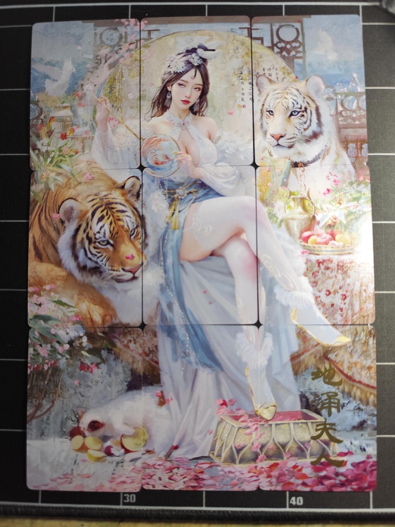 欢迎送拍、零成本上架，释放现金流，合理分配上拍卡品 【普卡九拼】ST刷子 地涌夫人一套9张  焱卡文化