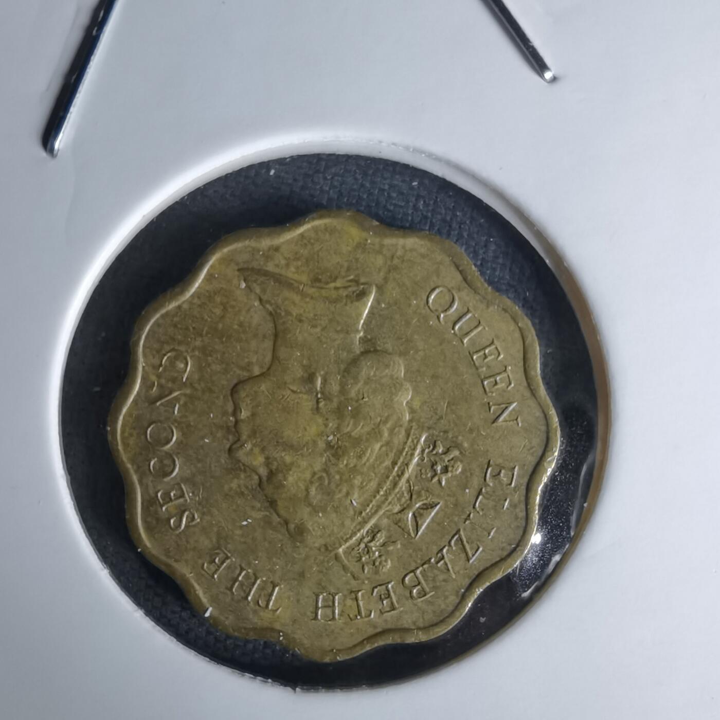 沼泽如烟--第1052场