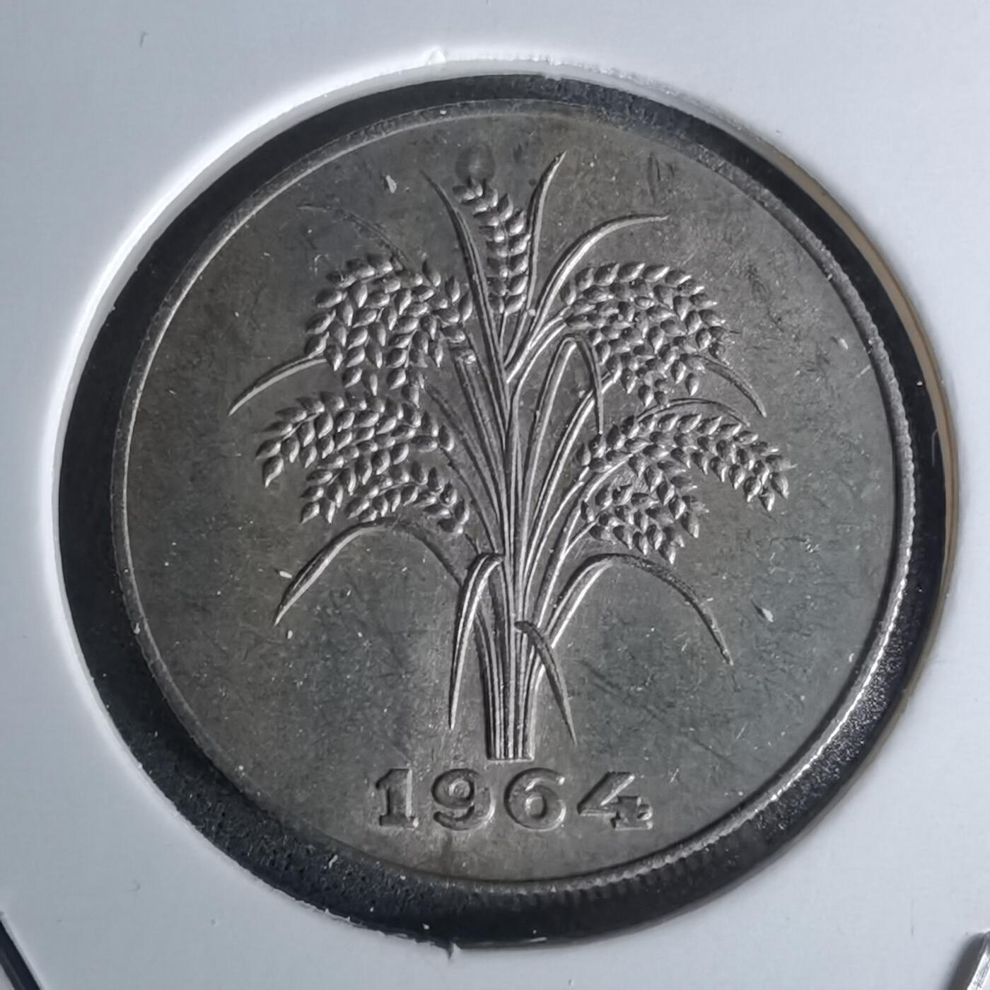 沼泽如烟--第1052场