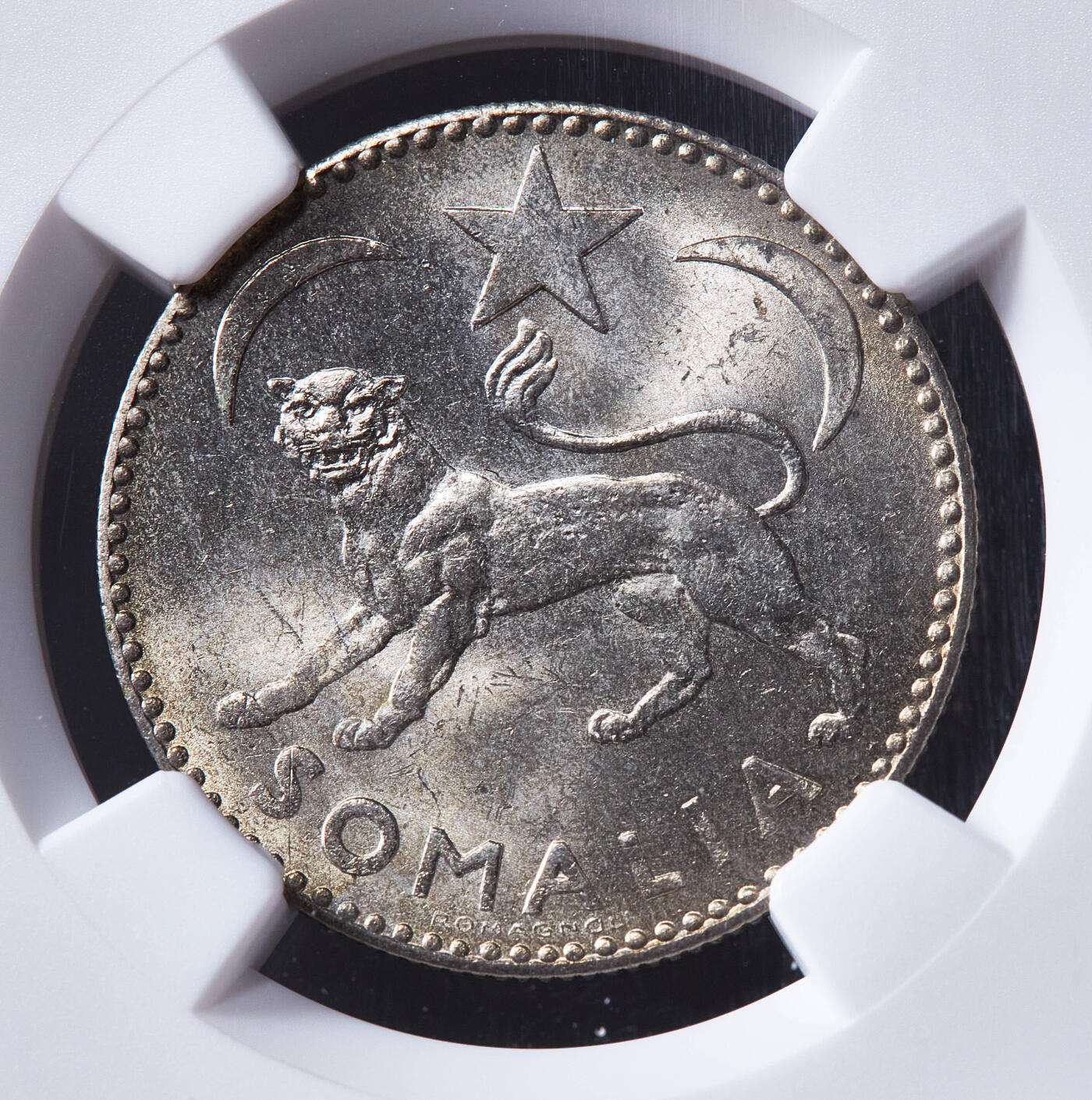 【俄甄集藏】满园春色-2026年(051)04-22星期三 晚 19:30 全场包邮 英属索马里1950年1索马洛非洲豹银币，NGC MS64，黄油彩包浆，转光品相