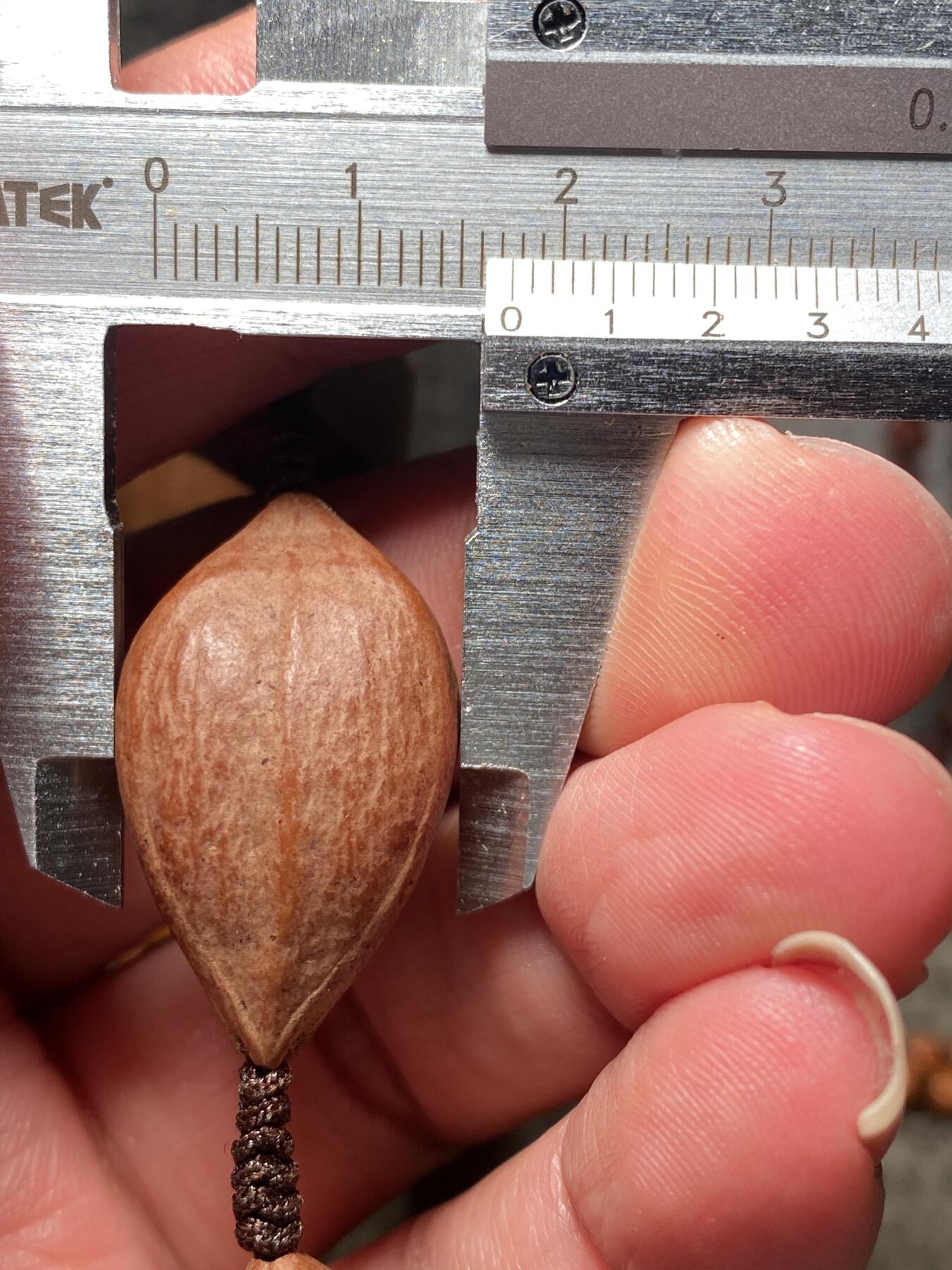 捡漏苏州非物质文化遗产，核雕艺术老苏工 福利苏工核雕，20年老陈料爆红品质脖挂手持三面佛，个性十足，等待有缘人，市场少见，漂亮，尺寸1。75x2.95左右喜欢的来