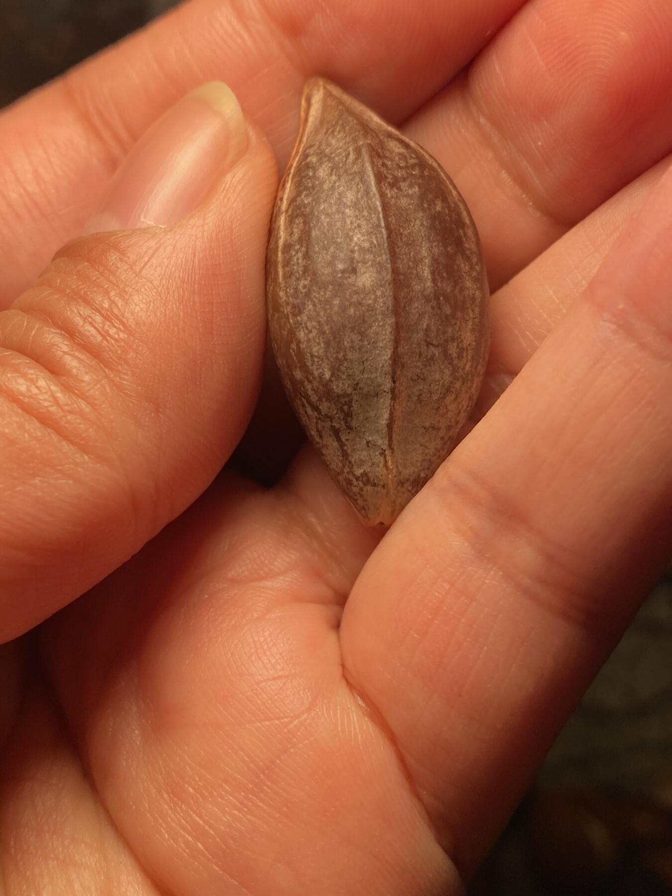 捡漏苏州非物质文化遗产，核雕艺术老苏工 福利苏工核雕纯手工老手艺横版紫核钟馗，雕工深峻，个性十足，等待有缘人，尺寸1。9x4.0喜欢的来