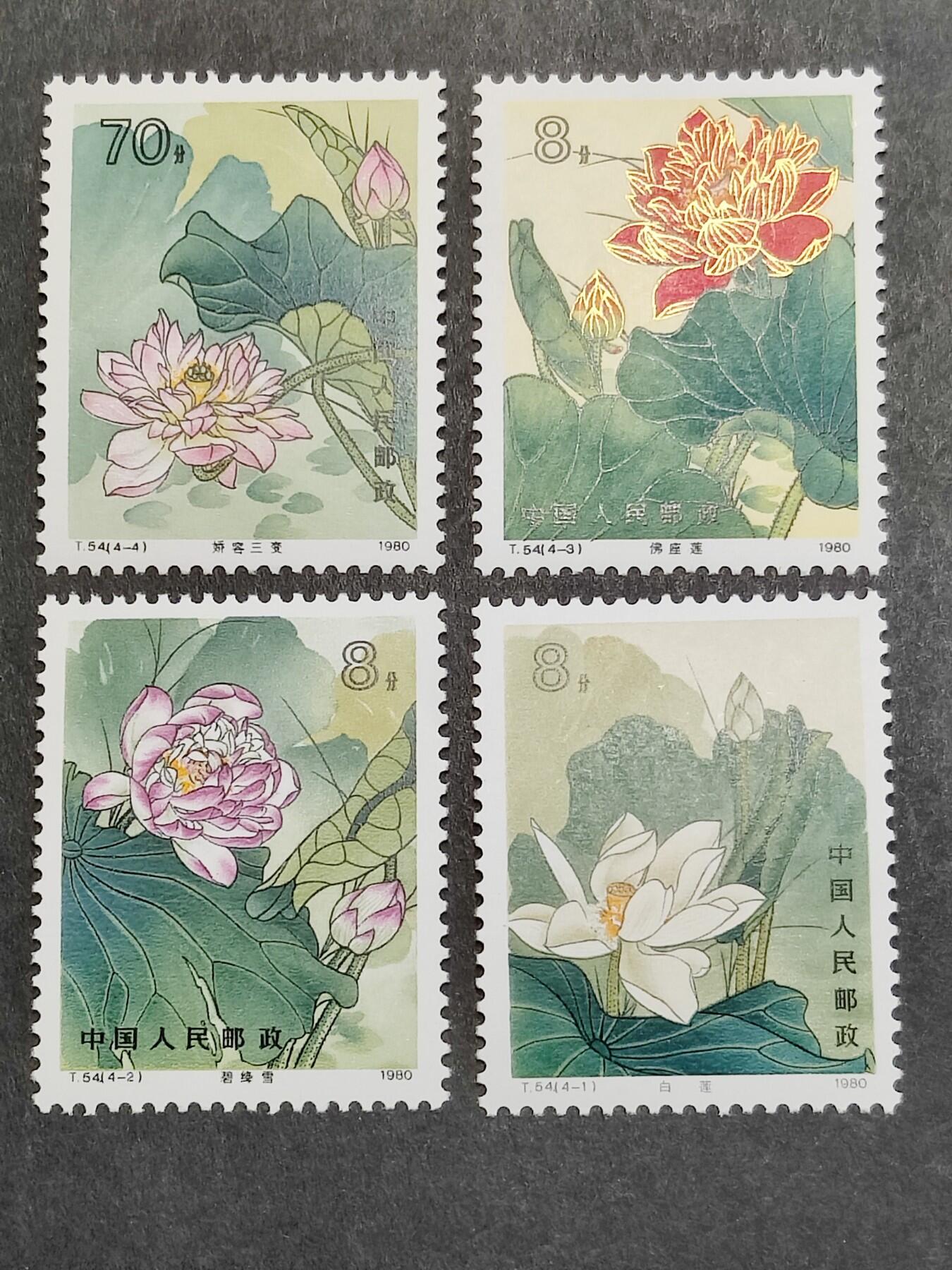 洪涛臻品批发群 精选邮票限时拍卖第1318期  T54 荷花 新全 全品