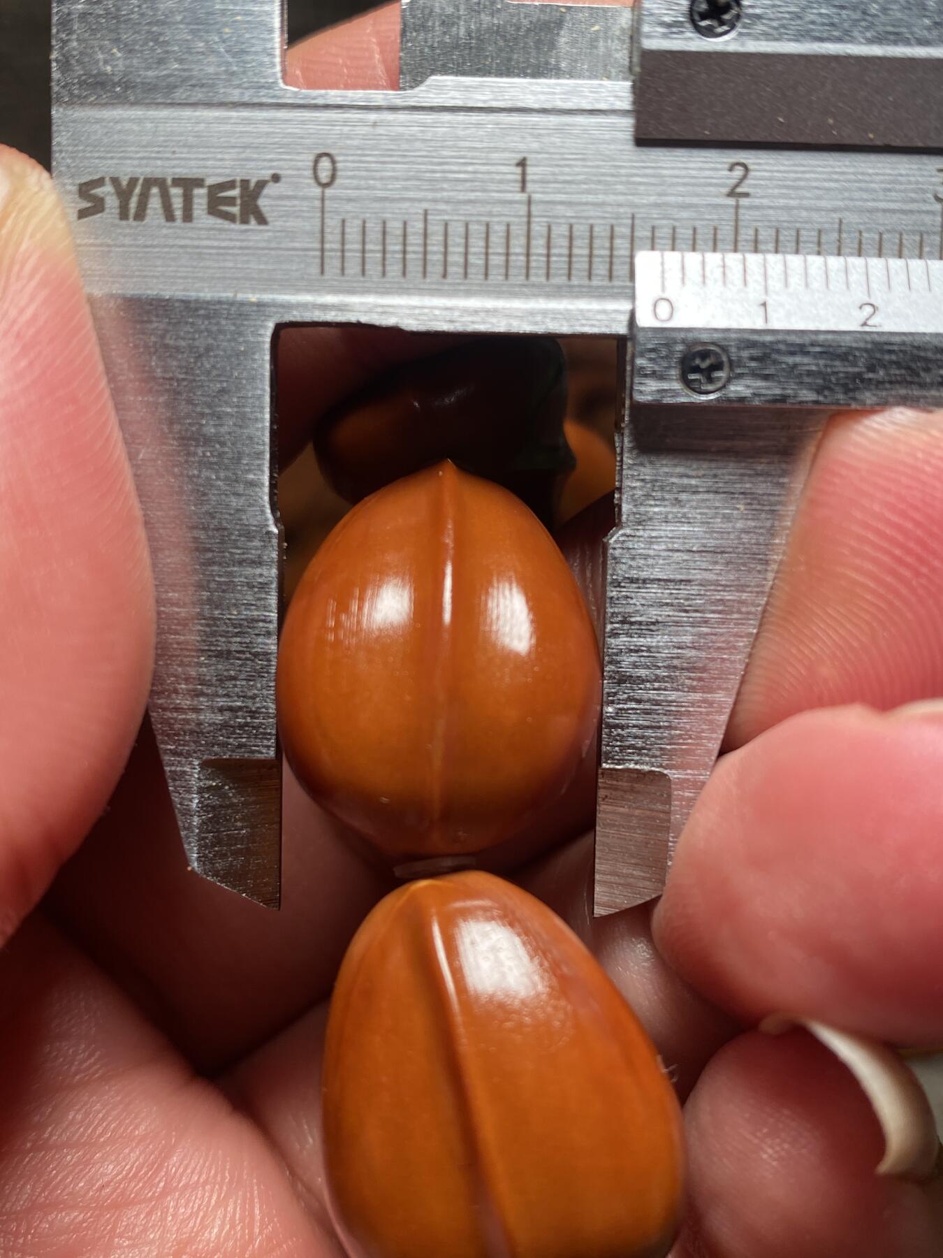 捡漏苏州非物质文化遗产，核雕艺术老苏工 福利苏工核雕，纯手工铁核鱼背，10年老料，个性十足，等待有缘人，市场无同款，尺寸1。68x2.1左右喜欢的来