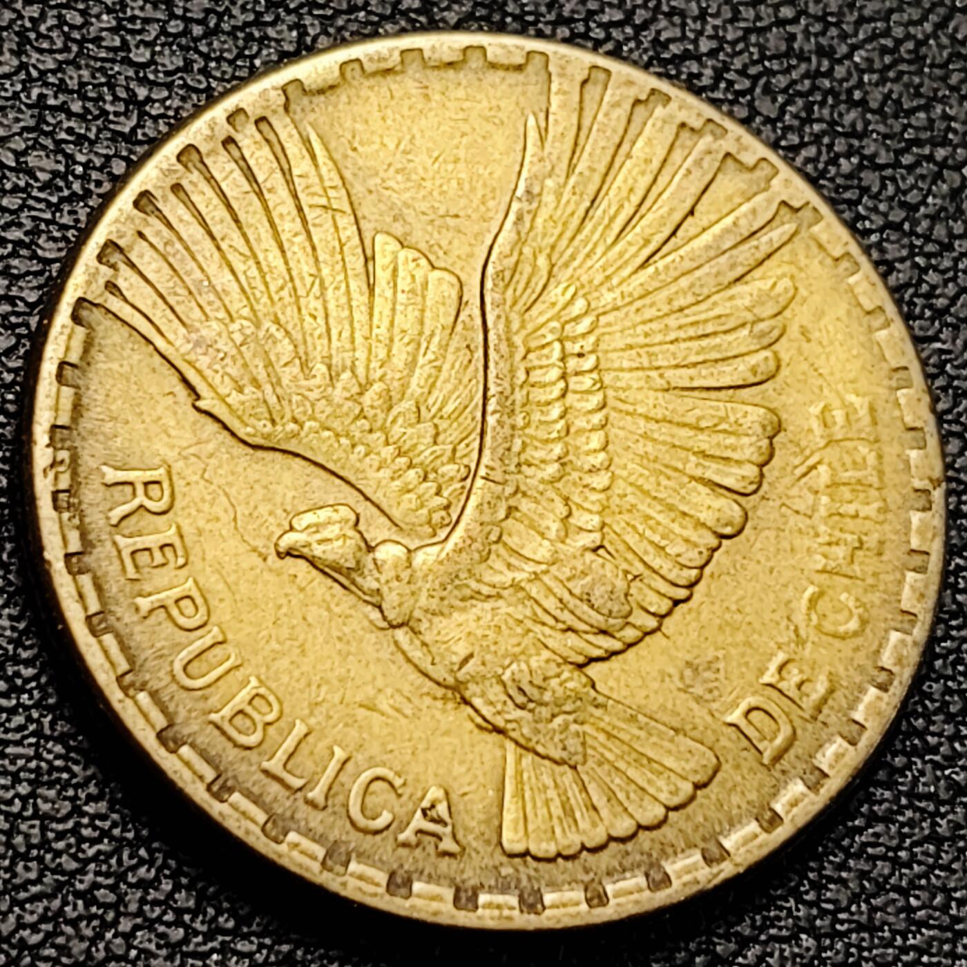 泉币菌-第224场-拍品多 请提前出价(222场前满邮的已全部发出，陆续更新单号中，请耐心等待) 。