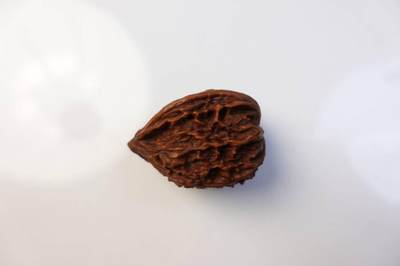 上海都达杂项专场102【全场包邮】  把玩核桃 1个65-336