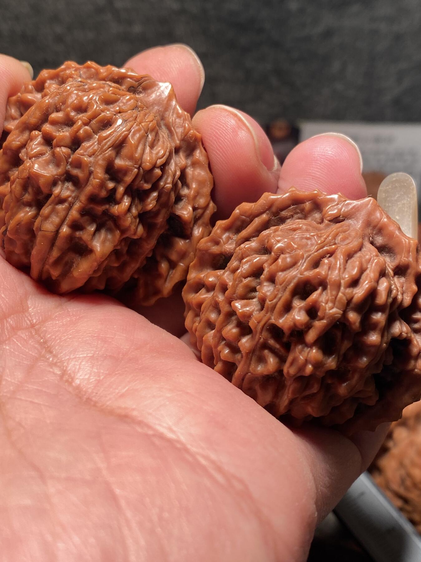 捡漏苏州非物质文化遗产，核雕艺术老苏工 福利苏工核雕，纯手工雕刻,核桃老苏工留刀痕达摩百态，个性十足，等待有缘人，市场无同款，尺寸4。2喜欢的来