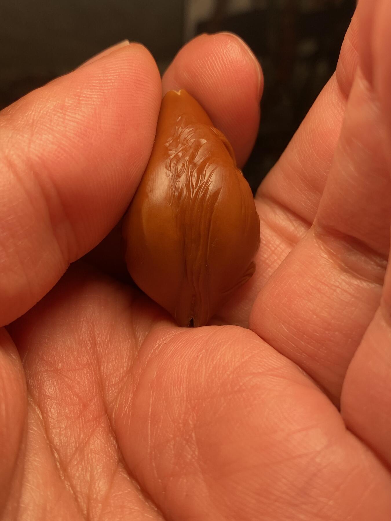 捡漏苏州非物质文化遗产，核雕艺术老苏工 福利苏工核雕纯手工风景无相单籽，雕工深峻，个性十足，等待有缘人，尺寸2.35x3。7喜欢的来