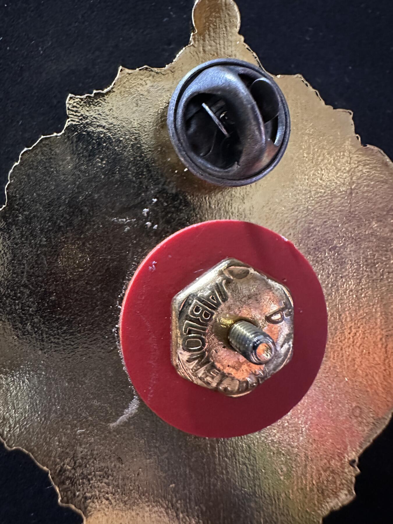 【俄甄集藏】满园春色-2026年(051)04-22星期三 晚 19:30 全场包邮 捷克军队总参谋部军官胸章，高：65mm，宽：48mm，重量：51.8克