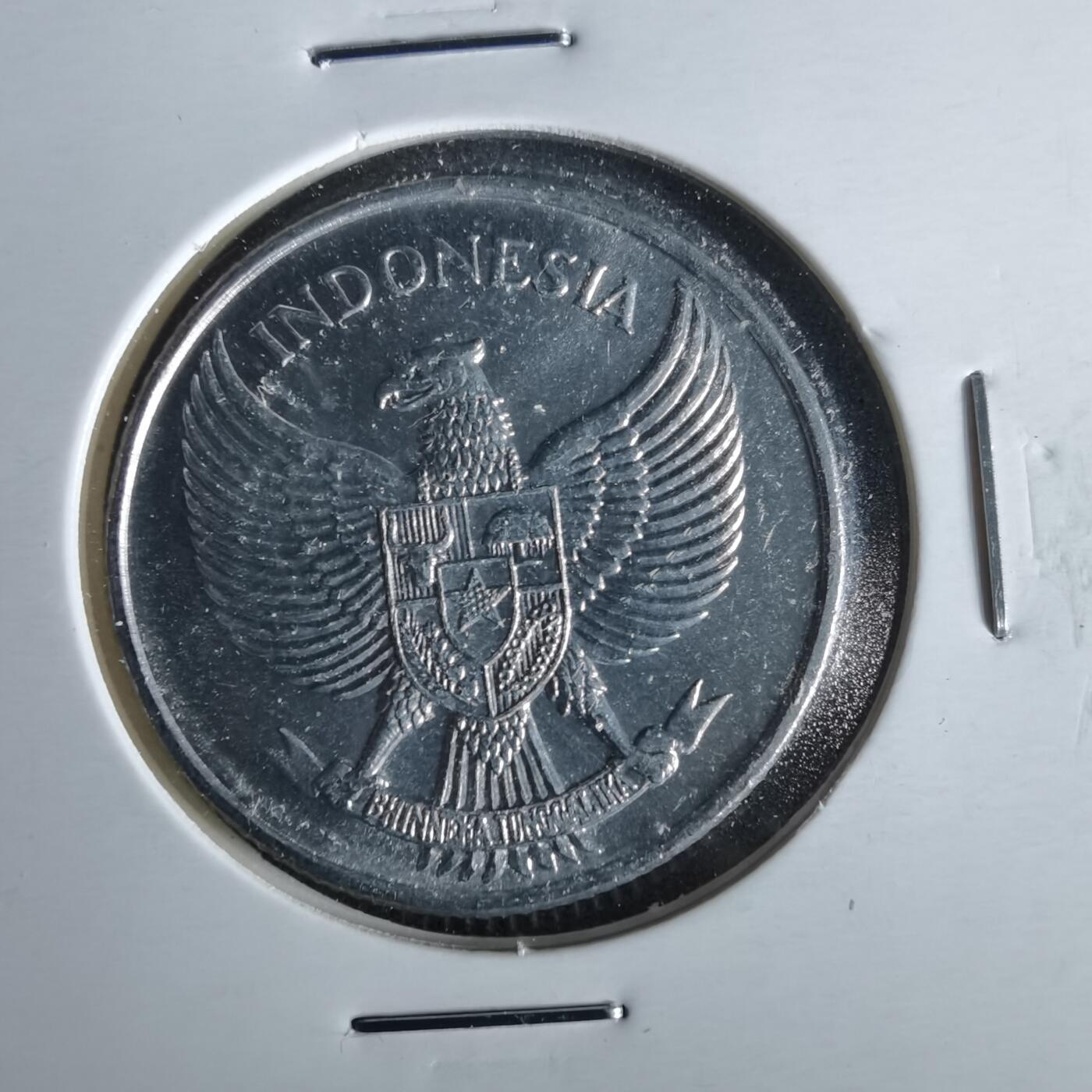 沼泽如烟--第1051场