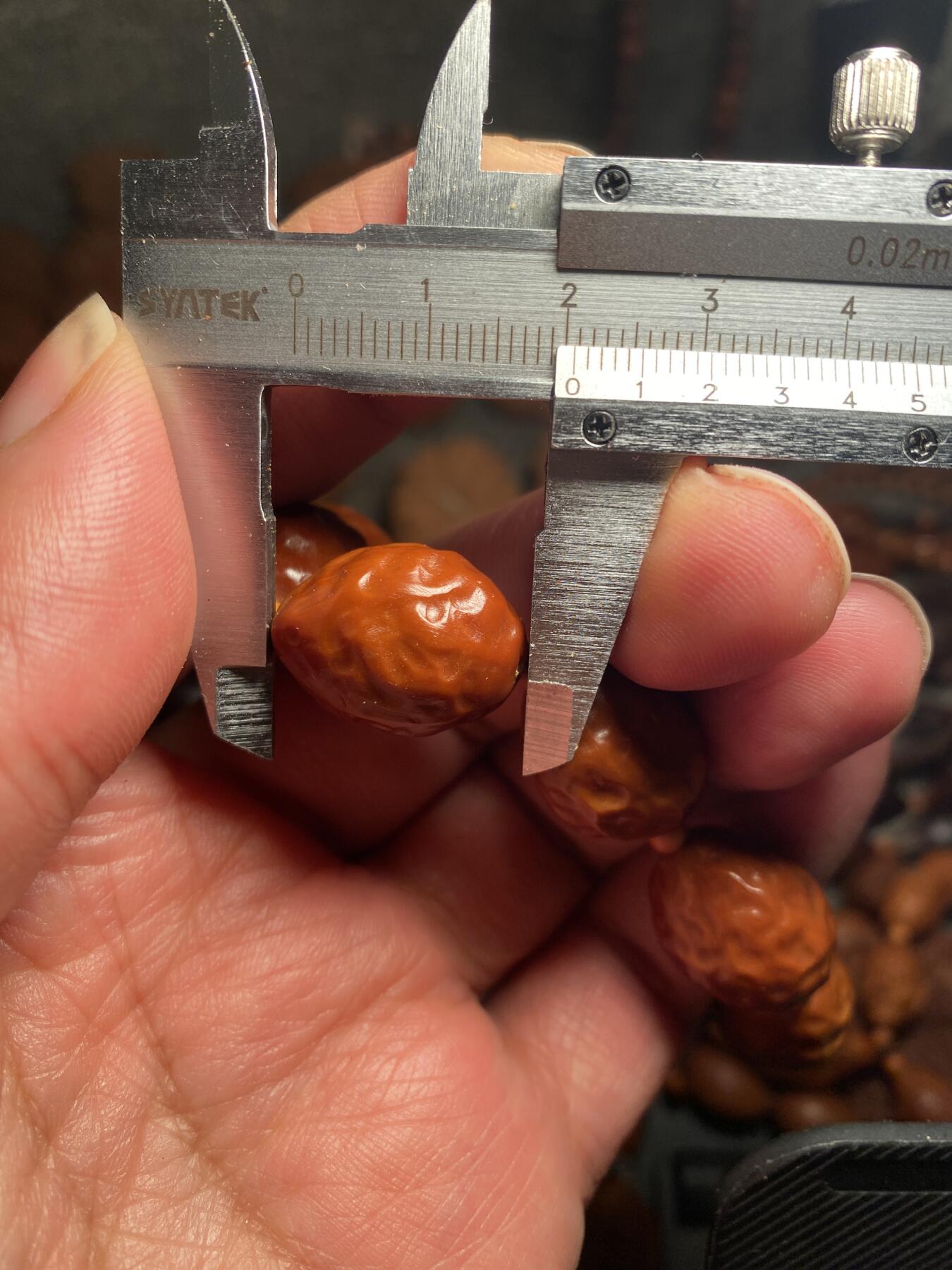 捡漏苏州非物质文化遗产，核雕艺术老苏工 福利苏工核雕，纯手工铁核大枣，10年老料，个性十足，等待有缘人，市场无同款，尺寸1。55x2.05左右喜欢的来