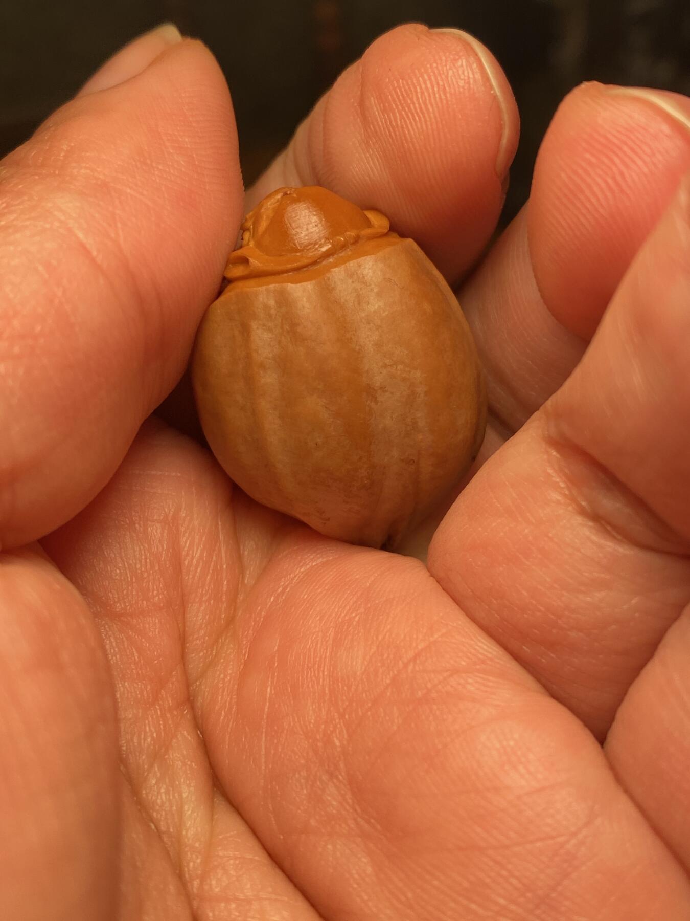 捡漏苏州非物质文化遗产，核雕艺术老苏工 福利苏工核雕纯手工钟馗单籽，雕工深峻，个性十足，等待有缘人，尺寸2.4x3。15喜欢的来