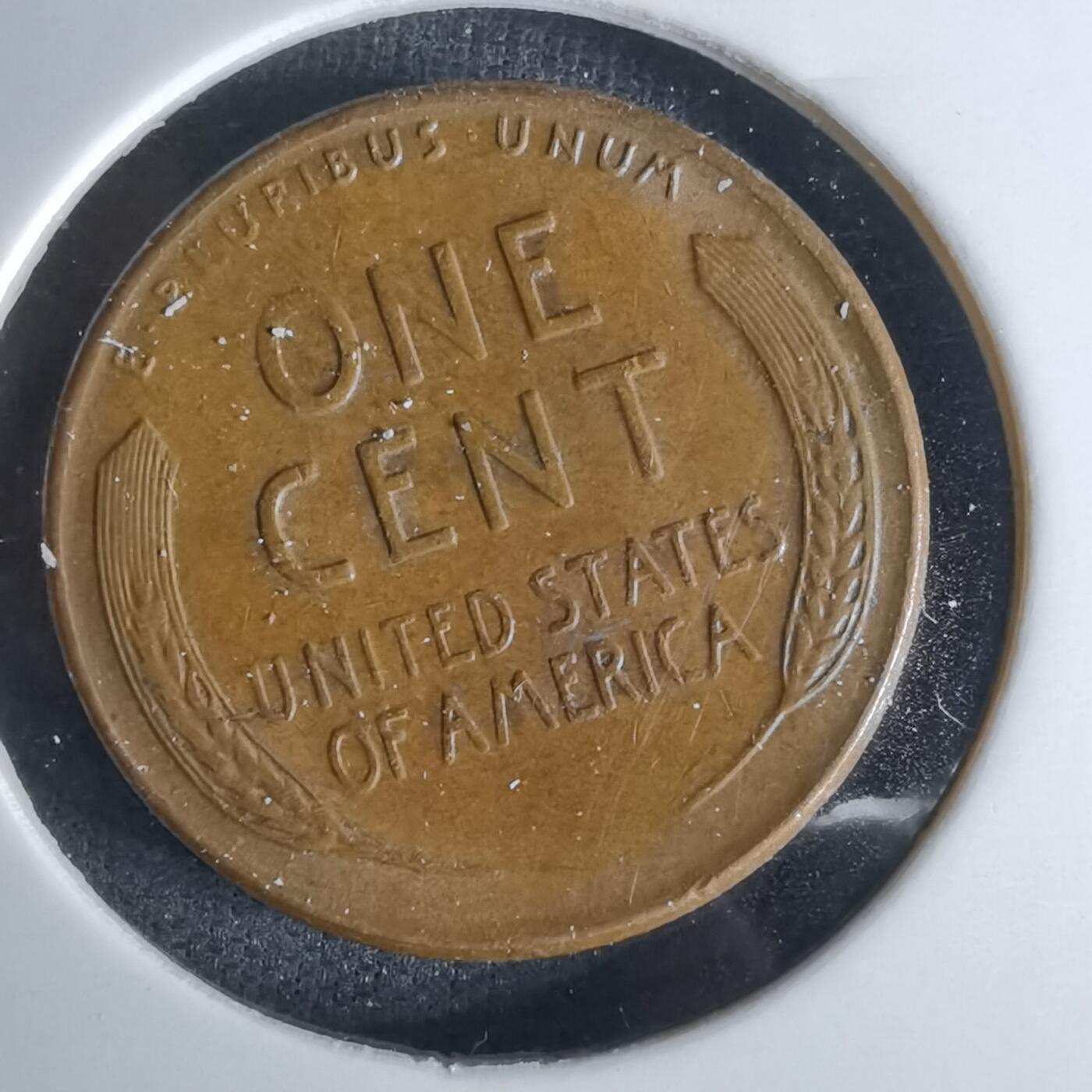 沼泽如烟--第1052场