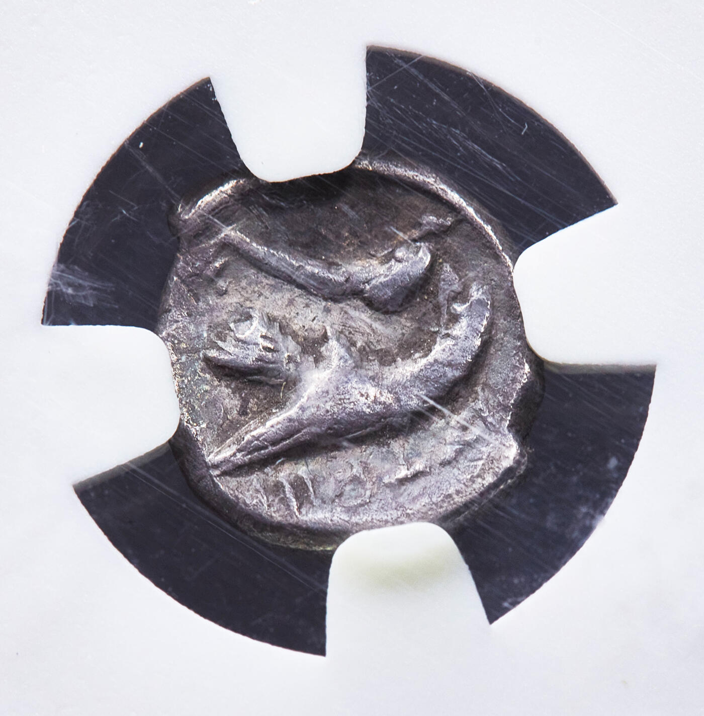 【俄甄集藏】满园春色-2026年(051)04-22星期三 晚 19:30 全场包邮 古希腊莫西亚伊斯特罗斯城公元前4世纪1/4德拉克马双子座兄弟银币，NGC VF，稀有小面值，正面是双子男孩头像象征日出日落，背面鹰啄食海豚，上方币文：伊斯特罗斯，直径：11mm，稀少品种，外盒破损，见详图