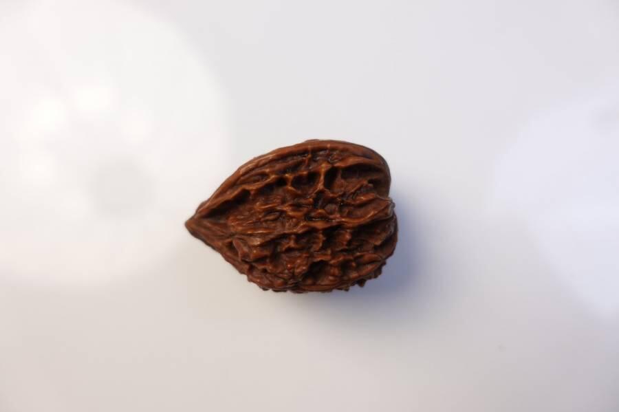 上海都达杂项专场八十一【全场包邮】  把玩核桃 1个65-336