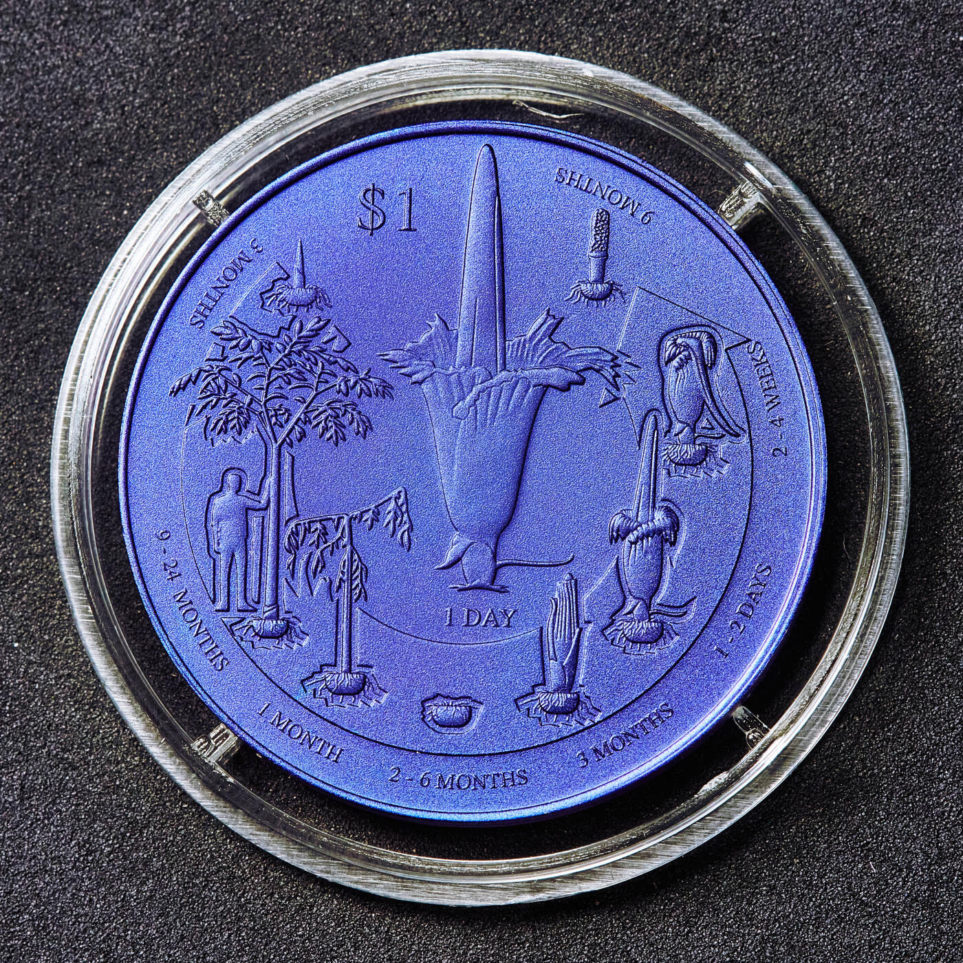 【俄甄集藏】满园春色-2026年(051)04-22星期三 晚 19:30 全场包邮 萨摩亚2018年纪念巨花魔芋栽培1塔拉纯钛纪念币，重10克，含钛量990，发行量5000枚，少见品种