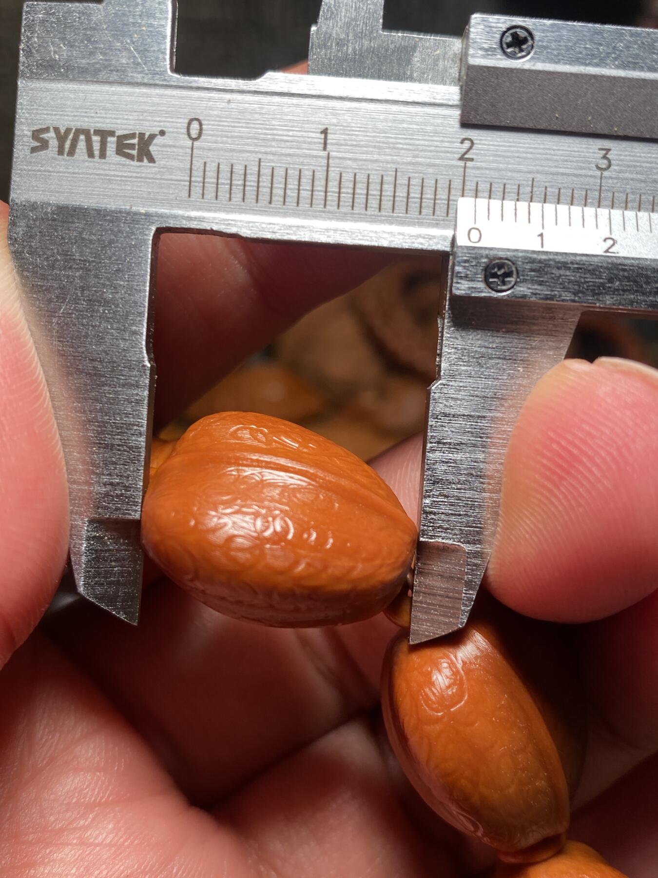 捡漏苏州非物质文化遗产，核雕艺术老苏工 福利苏工核雕，纯手工回纹铁核鱼背，10年老料，个性十足，等待有缘人，市场无同款，尺寸1。68x2.1左右喜欢的来