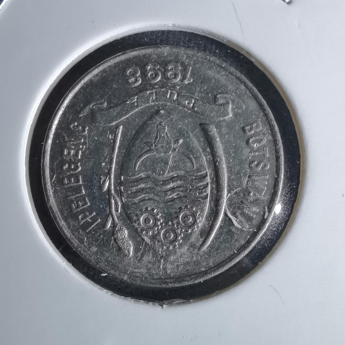 沼泽如烟--第1052场