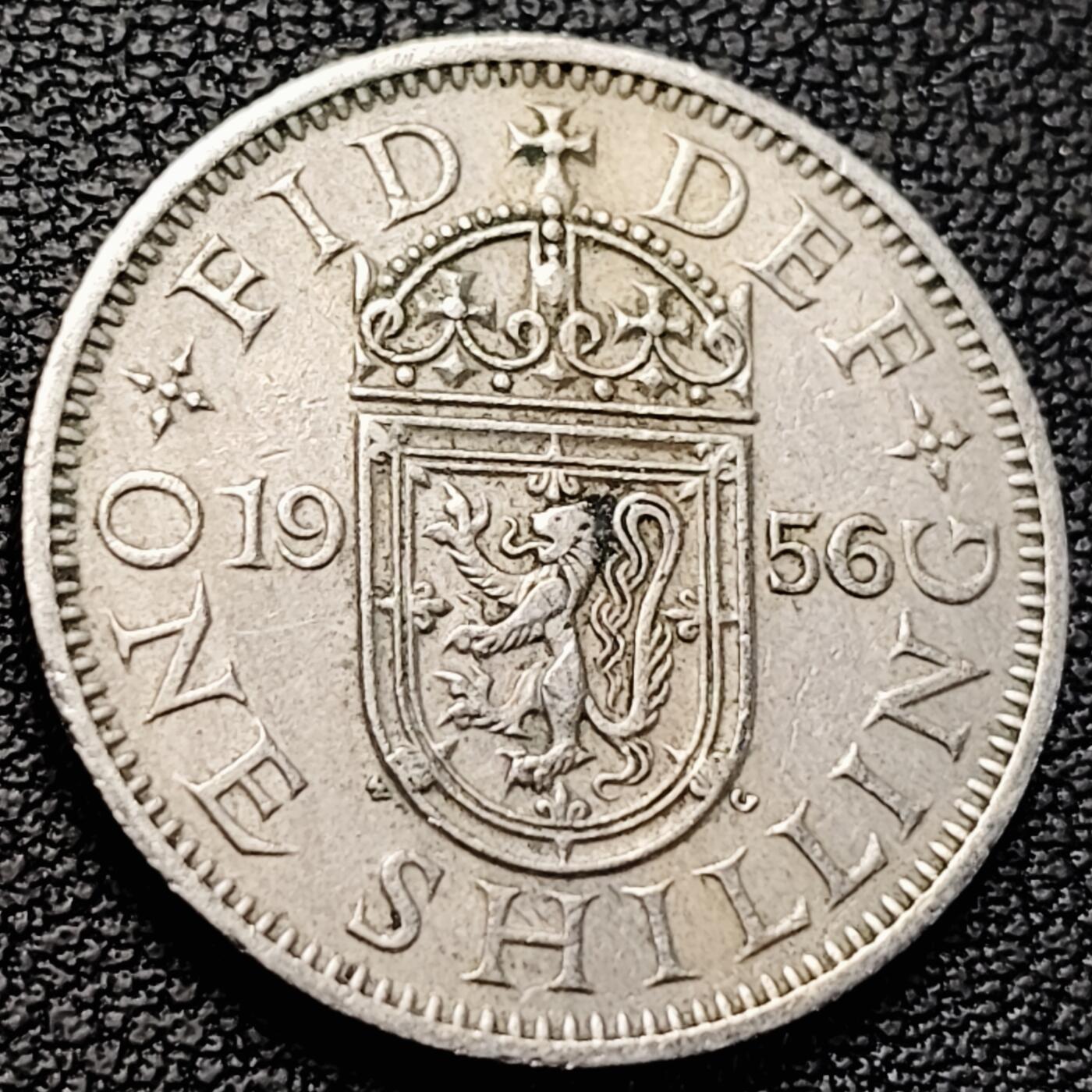 泉币菌-第224场-拍品多 请提前出价(222场前满邮的已全部发出，陆续更新单号中，请耐心等待) 。