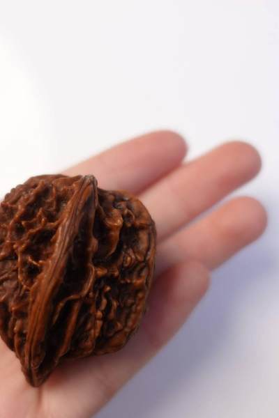 上海都达杂项专场102【全场包邮】  把玩核桃 1个65-336