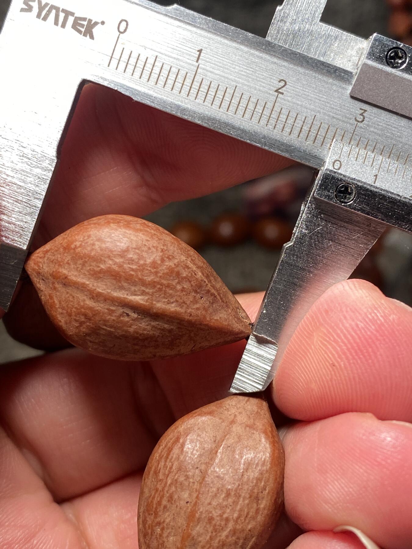 捡漏苏州非物质文化遗产，核雕艺术老苏工 福利苏工核雕，20年老陈料爆红品质脖挂手持三面佛，个性十足，等待有缘人，市场少见，漂亮，尺寸1。75x2.95左右喜欢的来