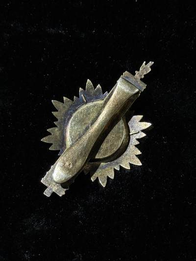 戎马世界章牌大赏第115期 法国众议院议员证章，银制，珐琅有轻微破损