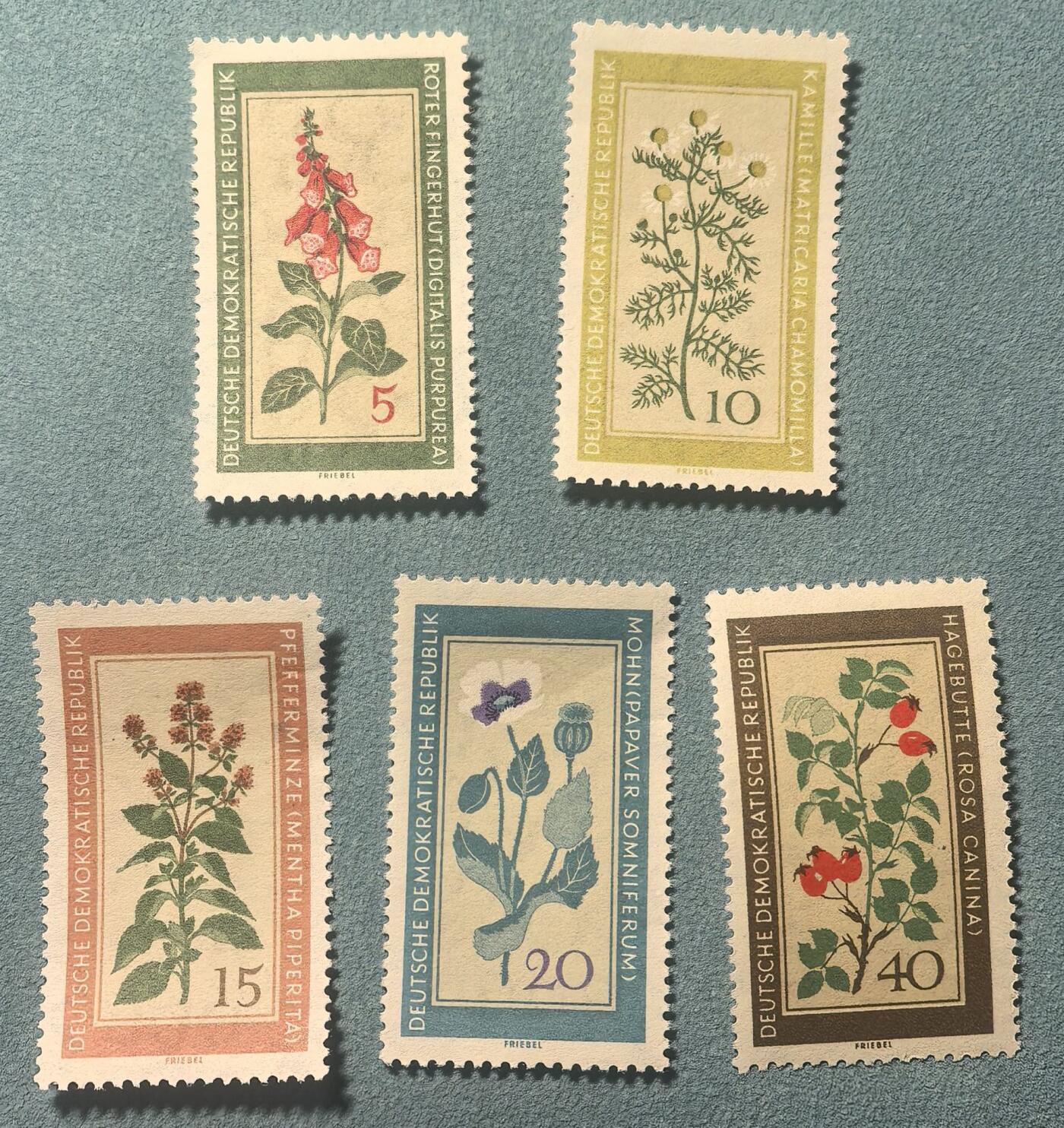 盛世勋华——号角文化勋章邮票专场拍卖第314期 东德邮政1960年发行 5全新票 药用植物