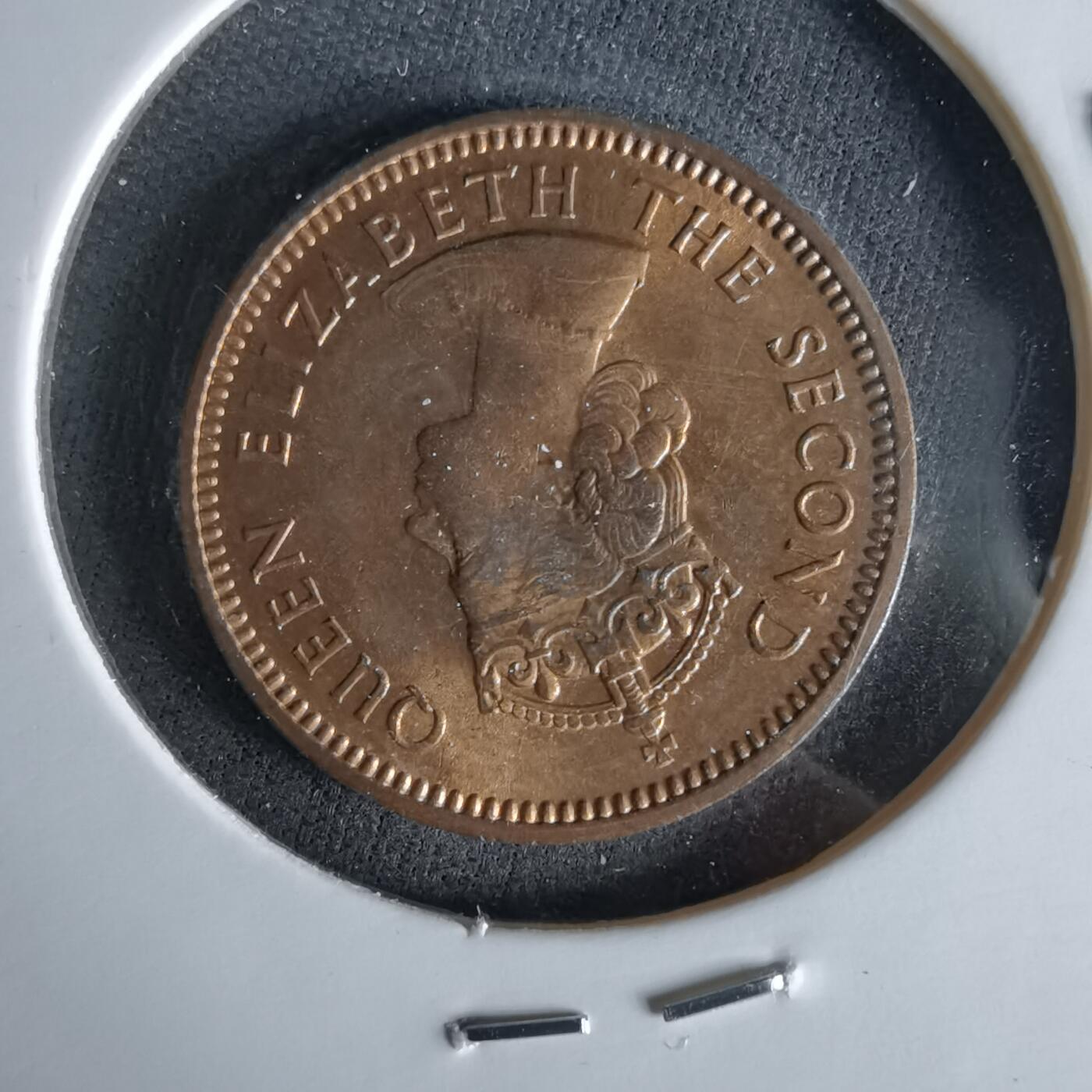 沼泽如烟--第1051场