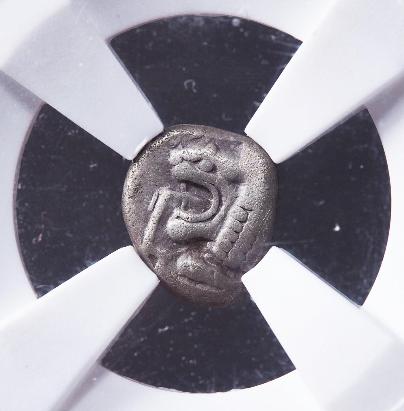 【俄甄集藏】满园春色-2026年(051)04-22星期三 晚 19:30 全场包邮 古希腊爱奥尼亚米利都城邦约公元前6世纪晚期-前5世纪早期狮子头1奥波银币，NGC F，正面张口咆哮的向左的狮子头，背面戳记中有大芒星图案，原味包浆，经典品种