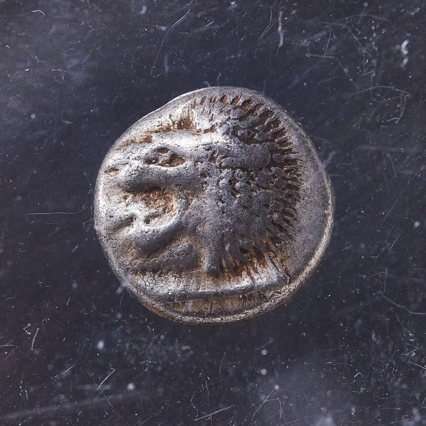 【俄甄集藏】满园春色-2026年(051)04-22星期三 晚 19:30 全场包邮 古希腊爱奥尼亚米利都城邦约公元前6世纪晚期-前5世纪早期狮子头1奥波银币，NGC VF，正面张口咆哮的向左的狮子头，背面戳记中有大芒星图案，原味状态，经典品种