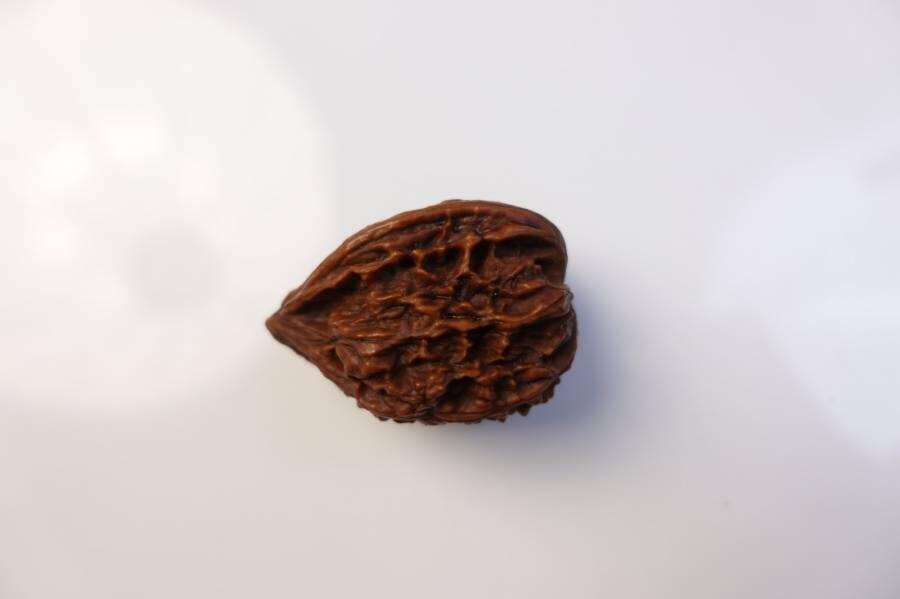 上海都达杂项专场八十一【全场包邮】  把玩核桃 1个65-336