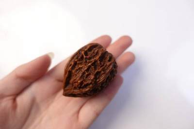 上海都达杂项专场102【全场包邮】  把玩核桃 1个65-336