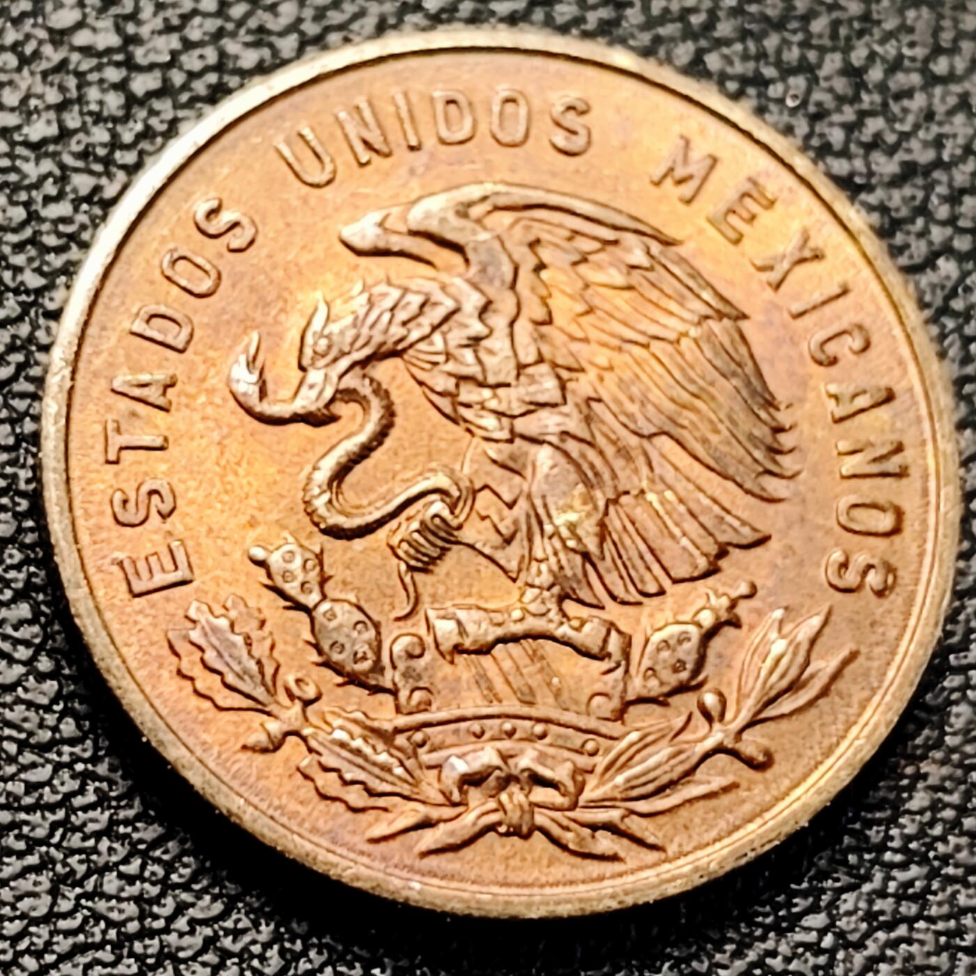 泉币菌-第224场-拍品多 请提前出价(222场前满邮的已全部发出，陆续更新单号中，请耐心等待) 。