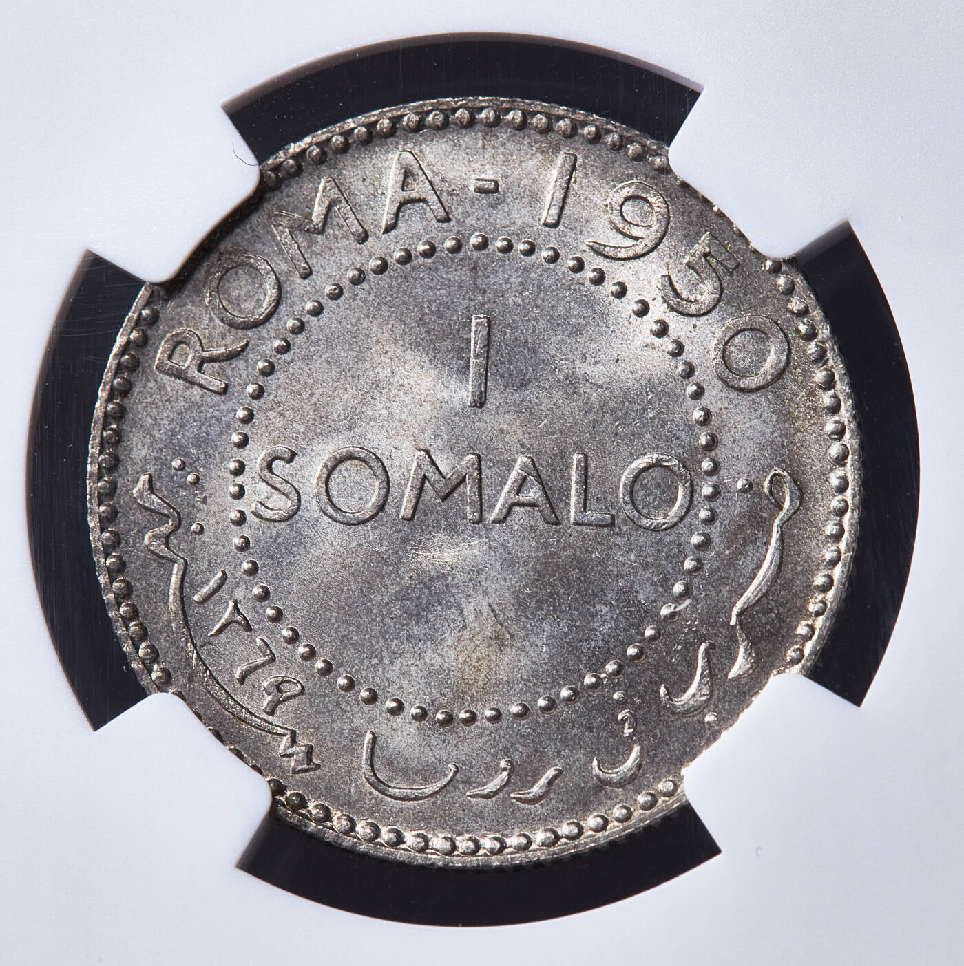 【俄甄集藏】满园春色-2026年(051)04-22星期三 晚 19:30 全场包邮 英属索马里1950年1索马洛非洲豹银币，NGC MS64，黄油彩包浆，转光品相