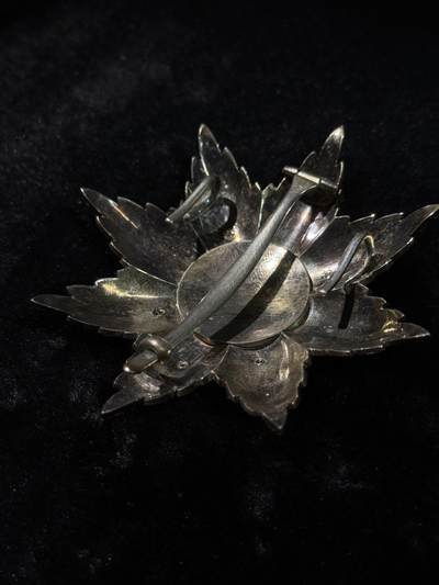 戎马世界章牌大赏第115期 卢森堡橡树叶勋章，银制，大十字级，带盒，卢森堡高级勋赏，非常少见